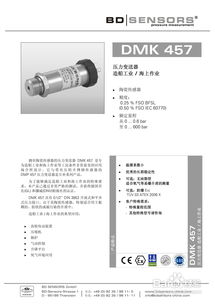 BDSensors DMK 457 压力变送器与雷达传感器产品说明书